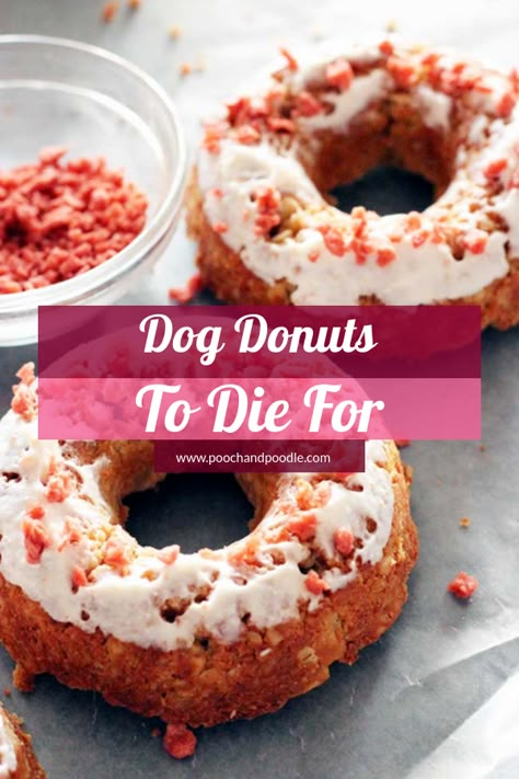 simple recipe for dog donuts you can make with the kids Dog Donut, Yogurt Frosting, Dog Breakfast, Dog Cookie Recipes, Foods Dogs Can Eat, Dog Cake Recipes, Pet Treats Recipes, Dog Treats Homemade Easy, Easy Dog Treat Recipes