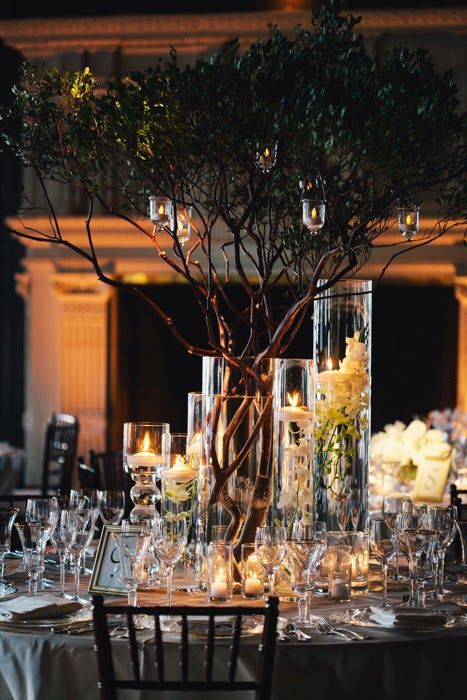 Formal Reception Room, Vines Centerpieces Wedding, Forest Green Table Cloth Wedding, Fall Wedding Aisle Decorations Indoor, Trees Indoor Wedding, Tree Centrepiece Wedding, Tree Branch Centerpieces, Tree Branch Wedding, Branch Centerpieces Wedding