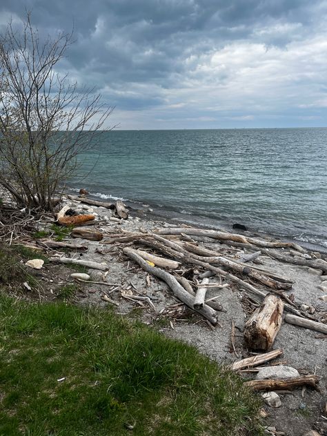 The Island Book, Island Aesthetic, Island Survival, Deserted Island, Spirit Bear, Lord Of The Flies, Island Life Style, Robinson Crusoe, Desert Island