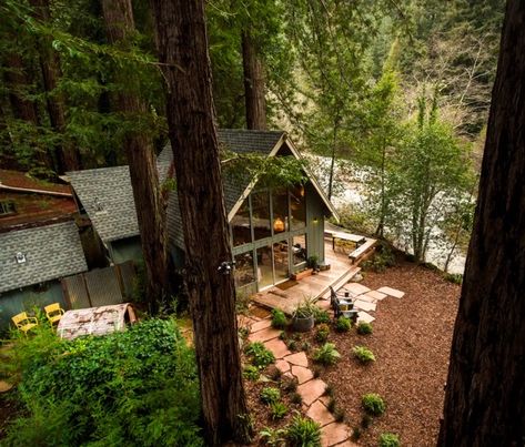 Airbnb Find: Sequoia A-Frame Cabin Mid Century Cabin, Glamping California, Sonoma Coast, Glamping Site, A Frame Cabin, A Cabin, Small Cabin, Cabin In The Woods, Cabins And Cottages