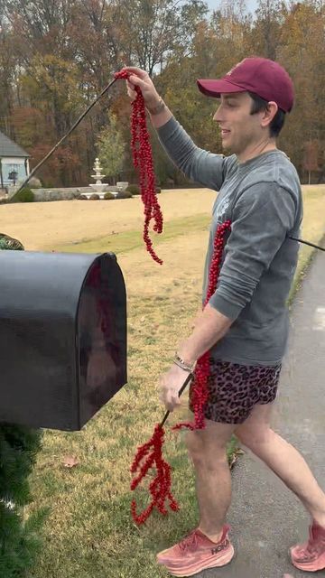 John Mark Sharpe on Instagram: "Mailbox tutorial 🤩" Outdoor Christmas Swag Ideas, Christmas Mailbox Decorations Outdoor, Mailbox Decorations For Christmas, Mailbox Swag Christmas, Christmas Mailbox Decorations, Christmas Mailbox, Diy Mailbox, Holiday Swag, Mailbox Design