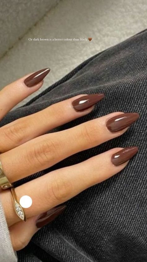 Short Acrylic Brown Nails, Nail Inspo Basic Color, Brown French Manicure Almond, Dark Colors Nails Design, Brown Nails Inspo Aesthetic, Fall Nails 2024 Brown, Dark Nail Colors Fall, Dark Brown Nail Ideas, Brown Nail Inspo Almond