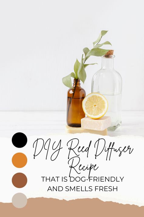 Discover a DIY reed diffuser recipe that creates a fresh and clean scent while being safe for dogs. Learn how to make a dog-friendly reed diffuser using essential oils like lavender, lemon, and frankincense. Perfect for pet owners looking for natural and non-toxic home fragrance solutions.