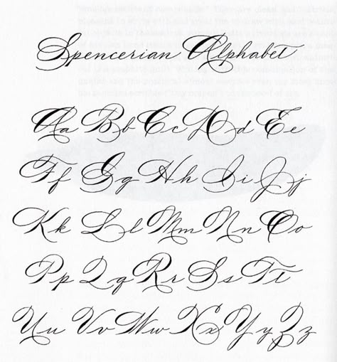 Spencerian Calligraphy Alphabet, Spencerian Script Alphabet, Spencerian Alphabet, Script Lettering Alphabet, Spencerian Handwriting, Copperplate Alphabet, Spencerian Penmanship, Spencerian Script, Calligraphy Letters Alphabet