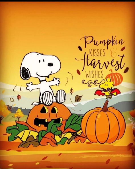 Snoopy First Day Of Fall, Snoopy Fall Autumn, Snoopy Fall Wallpaper, Thanksgiving Snoopy, Good Day Wishes, Peanut Gang, Good Morning Snoopy, Halloween Resources, Snoopy Collectibles