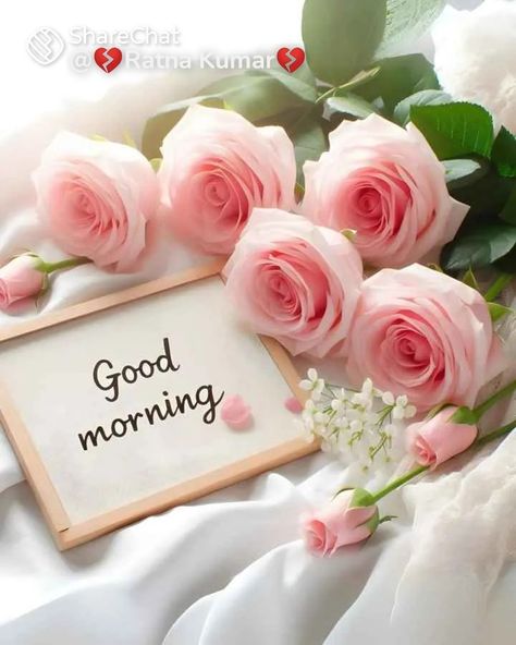 Good Morning Quotes Friendship, Good Morning Rose Images, Good Morning Posters, Good Morning Smiley, Cute Good Morning Images, Good Morning Flowers Quotes, Good Morning Beautiful Flowers, Good Morning Roses, Good Morning Wallpaper