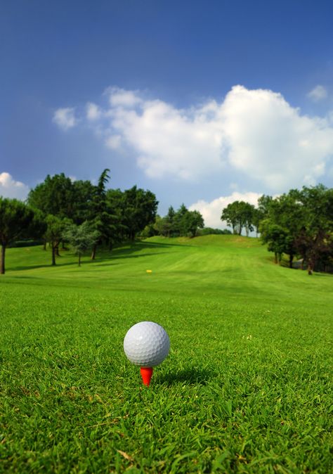 Golf ball on green grass with golf course background 01 Golf Backgrounds, Golf Wallpaper, Cute Drawing Images, Golf Aesthetic, Golf Course Photography, Dandelion Wallpaper, Golf Images, Watch Background, Grass Plants