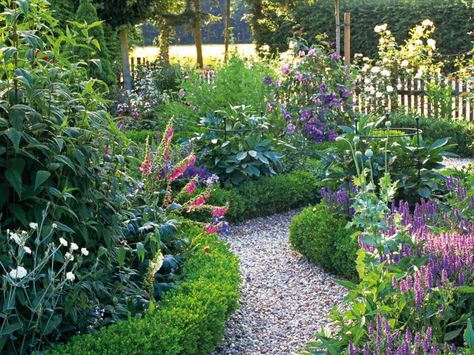 Low box hedging contains the unstructured border planting of poppies, salvia and foxgloves,a technique appropriate for front yards, where greater order may be required. Boxwood Landscaping, Moderne Have, Box Hedging, Rock Garden Plants, Cottage Garden Design, English Cottage Garden, Garden Pictures, Garden Edging, Garden Designs