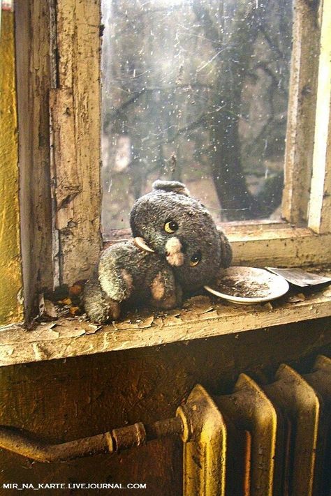 Lost | Forgotten | Abandoned | Displaced | Decayed | Neglected | Discarded | Disrepair | Abandoned Property, Abandoned House, Abandoned Mansions, A Teddy Bear, Chernobyl, Leave Behind, Haunted Places, Abandoned Buildings, Back To Nature