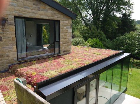 Roof Plants, Green Roof Design, Roof Landscape, Green Roof Garden, Green Roof House, Sedum Roof, Flat Roof Extension, Green Roof System, Grass Roof