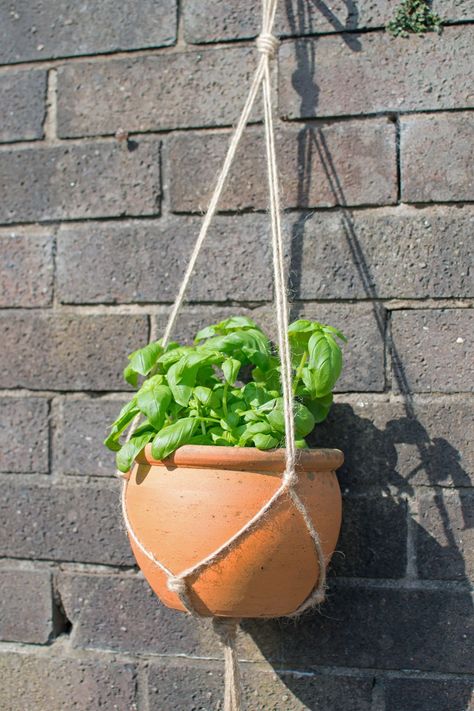 Hanging Pot Plants, Kitchen Greenery, Diy Plant Hanger Easy, Diy Macrame Plant Hanger Easy, Hanging Baskets Diy, Plant Hanger Tutorial, Outdoor Plant Hanger, Flower Pot Hanger, Baskets Diy