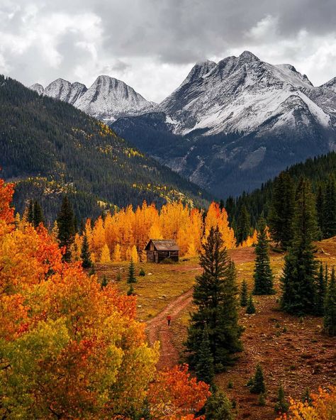 Colorado,USA!!! Colorado Wallpaper, Fall In Colorado, Herbst Bucket List, Little Cabin In The Woods, Colorado Fall, Little Cabin, Autumn Scenery, A Cabin, Colorado Mountains