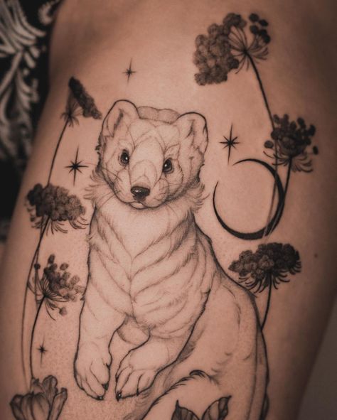 Ermine Tattoo, Weasel Tattoo, Weasel Drawing, Ferret Tattoos, Weasel Art, Teen Wolf Tattoo, Ferret Tattoo, Ferret Art, Cute Animal Tattoos