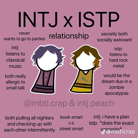 Istp Personality In Love, Estp X Intj, Intj X Istp, Intj Estp, Istp Type, Intp X Istp, Istp Intj, Dr. Bright, Istp Personality