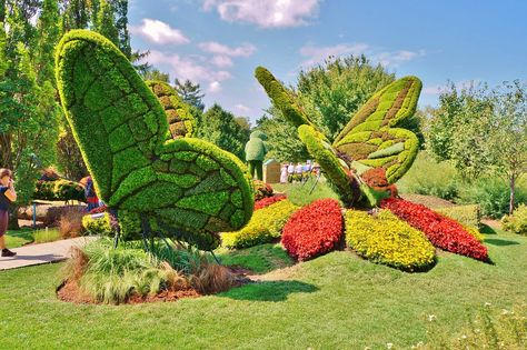 Alternanthera (Butterflies) | Karl Gercens | Flickr Chicken Wire Sculpture, Butterfly Park, Park Signage, Landscaped Garden, Unique Garden Art, Urban Landscape Design, Garden Park, Flower Landscape, Unique Gardens