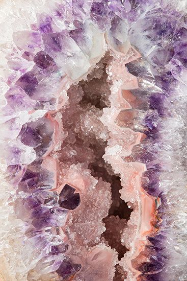 Amethyst Mineral Photography, Amethyst Art, Turquoise Rose, Crystal Aesthetic, Geode Art, Rocks And Gems, Minerals And Gemstones, Fine Art Photo, Purple Aesthetic