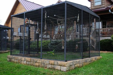 Aviary Ideas Outdoor, Outdoor Aviary, Aviary Ideas, Pigeon Cage, Pet Bird Cage, Large Bird Cages, Parrot Pet, Outdoor Cat Enclosure, Bird House Kits