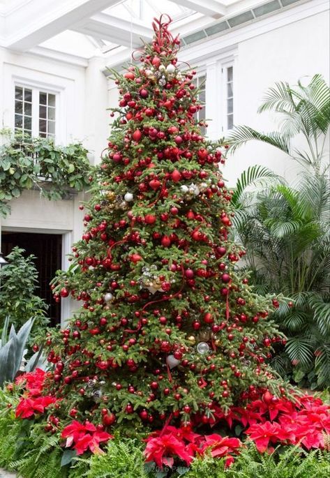 Garden Christmas Decor, Elegant Christmas Trees, Red Christmas Tree, Longwood Gardens, Christmas Tree Inspiration, Simple Christmas Tree, Beautiful Christmas Trees, Christmas Tree Themes, Noel Christmas