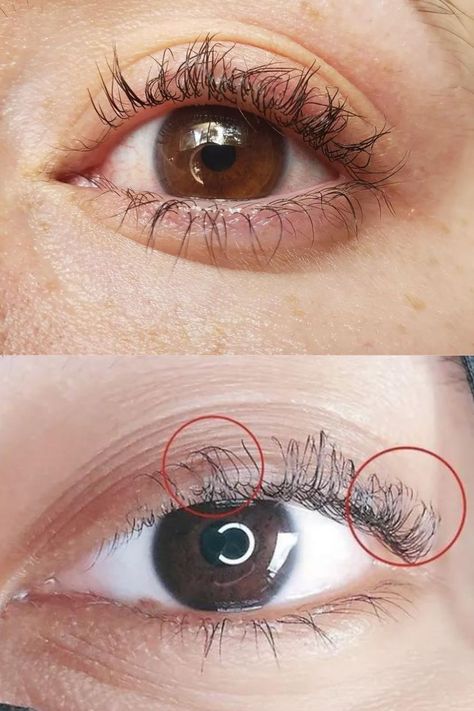 Lash Lift Gone Wrong- Eyebrowsbar.com Lash Lift Asian Eyes, Eye Lash Lift, Diy Lash Lift, Lash Lift Before And After, Lash Lifting, Grow Lashes, Eye Safety, Deep Set Eyes, Eyelash Lift