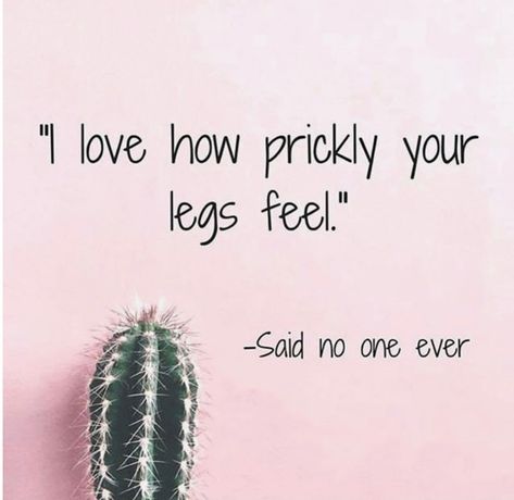 Wax Quotes, Waxing Memes, Waxing Quotes, Waxing Legs, Spa Quotes, Esthetician Quotes, Skins Quotes, Waxing Tips, Skin Quotes