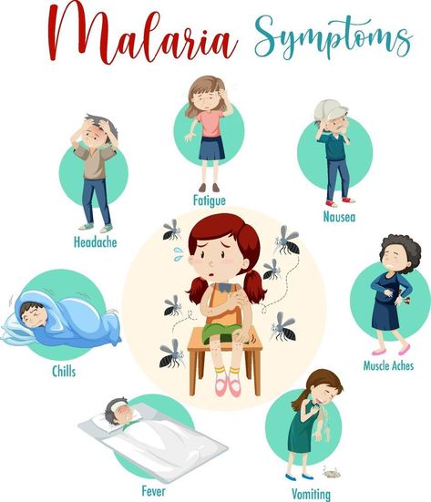 Malaria symptom information infographic Malaria Poster, Malaria Infographic, Malaria Symptoms, Ulcer Symptoms, Foot Reflexology Massage, Pamphlet Design, Awareness Poster, Disease Symptoms, General Ideas