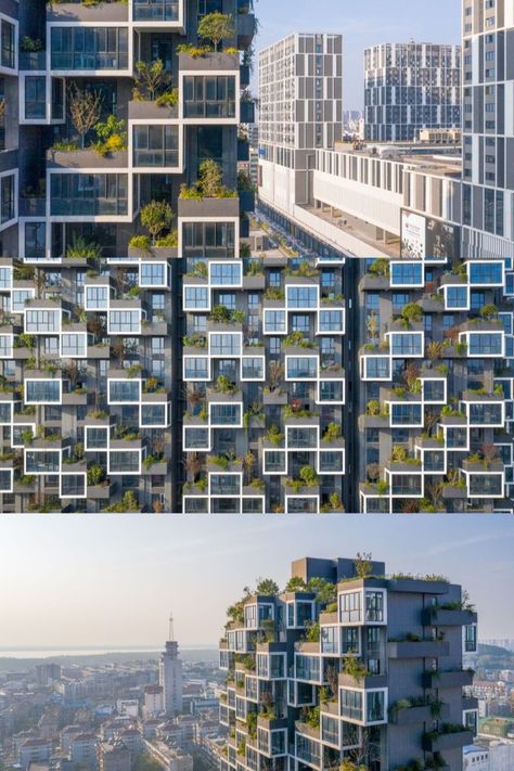 Easyhome Huanggang Vertical Forest City Complex Stefano Boeri, Vertical Forest, Chinese House, House Flippers, Perennial Grasses, Space Phone Wallpaper, Conceptual Architecture, Construction Firm, Forest City