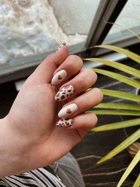 Reverse Cow Print Nails, Easy Nail Designs Cow Print, Almond Nails Designs Cow Print, Autumn Cow Print Nails, Cow Print Manicure, Cow Print Nail Ideas Short, Cow Nails Acrylic Almond, Subtle Cow Print Nails, Cow Nails Almond Shape