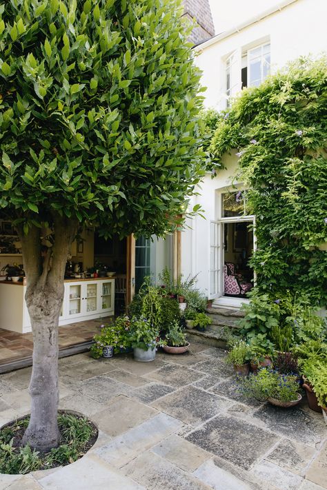 Daisy Garnett London garden | House & Garden Circular Lawn, Growing Organic Vegetables, York Stone, Small Flower Pots, London Garden, Garden Architecture, Victorian Terrace, City Garden, Patio Stones