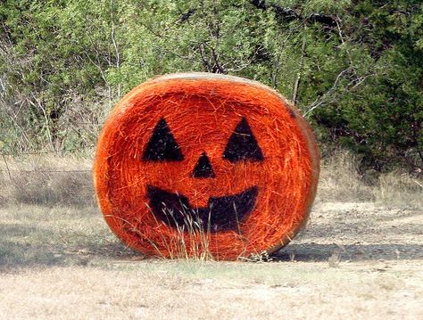 Bale of Hay Pumpkin by Pierce Place, via Flickr Hay Bale Pumpkin, Halloween Hay Bales, Pumpkin Hay Bale, Hay Bale Fall Decor, Hay Bale Fall, Hay Bale Decor, Painted Hay Bales, Hay Bale Decorations, Hay Bale Ideas