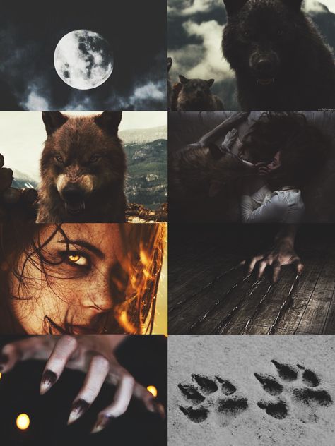 Werewolf Romantic Aesthetic, Werewolf Romance Aesthetic, She Wolf Aesthetic, Werewolf X Human, Wolf Witch, Werewolf Vs Vampire, Werewolf Girl, Werewolf Stories, Werewolf Aesthetic