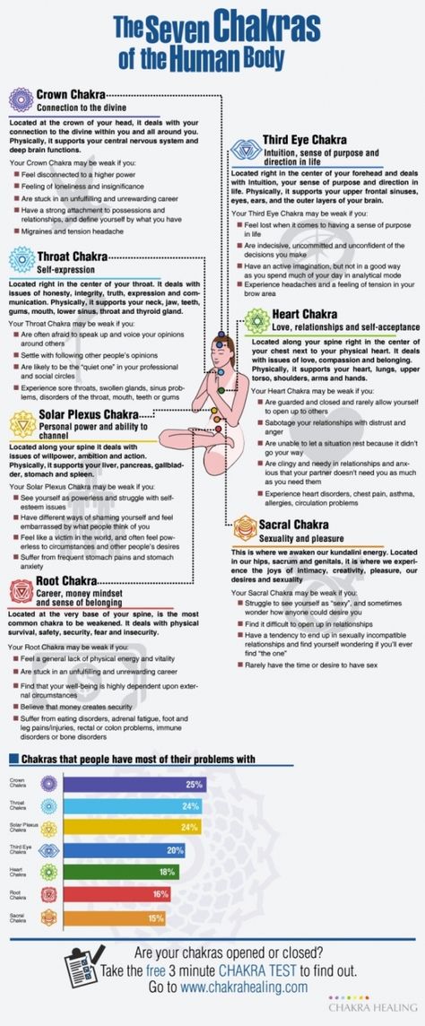 Learn About Your Chakras [ INFOGRAPHIC ] | Infographic File Autogenic Training, Chakra Chart, Chakra Heilung, The Seven Chakras, Seven Chakras, Alternative Healing, Les Chakras, Chakra Meditation, Solar Plexus Chakra