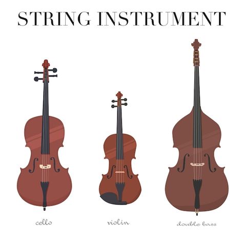 Cello And Violin, Bass Violin, Violin Cello, Double Bass, String Instruments, Violin, Premium Vector, Graphic Resources, Bass