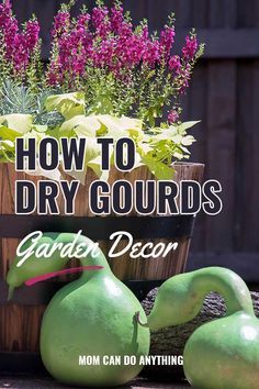 How To Dry Out Gourds, How Do You Dry Out Gourds, How To Dry Gourds For Birdhouses, Dried Gourds Fall Decor, Drying Gourds Diy, How To Dry Gourds Fast, Gourd Carving Ideas, Small Gourds Crafts Ideas, Gourd Art For Beginners