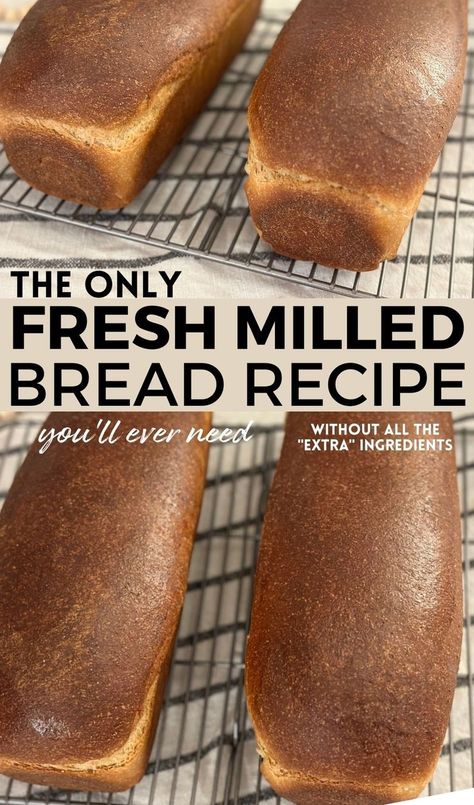 Two loaves of fresh milled wheat bread cooling on wire rack with text "The only fresh milled bread recipe you'll ever need- without all the extra ingredients". Fresh Milled Flour Bread Machine Recipe, Wheat Berry Bread Recipe, Sandwich Loaf Recipe, Fresh Milled Flour, Sandwich Bread Recipe, Bread Machine Recipe, Perfect Sandwich, Sandwich Loaf, Wheat Bread Recipe