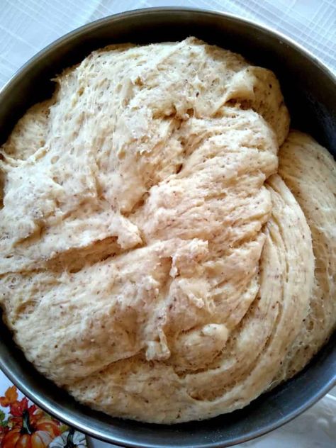 Amish Honey Wheat Bread Recipe - Amish Heritage Amish Honey Wheat Bread, Amish Raisin Bread, Red Wheat Bread Recipe, Amish Amoxicillin Recipe, Amish Whole Wheat Bread Recipe, Hard Red Wheat Bread Recipe, Amish Wheat Bread Recipe, Amish Bread Machine Recipes, Best Honey Wheat Bread Recipe