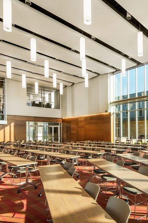 White smooth ceilings with hanging lights fill a lecture hall with brightness Modern Lecture Hall, Lecture Hall Aesthetic, Lecture Hall Interior Design, College Lecture Hall, Lecture Hall Design, College Lectures, Lecture Room, Inspiring Architecture, Lecture Hall