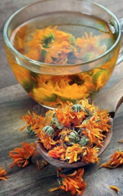 Edible Flowers - Calendula - Cottagecore Cooking Cottagecore Cooking, Pot Marigold, Calendula Tea, Calendula Flowers, Flowers Pot, Marigold Flower, Cooking Lessons, Flower Tea, Edible Flowers