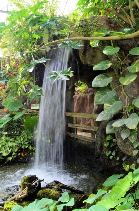 Waterfall Landscaping, Kolam Air, Kolam Koi, Taman Air, Outdoor Fountains, Garden Pond Design, Tropical Garden Design, Garden Waterfall, Waterfalls Backyard