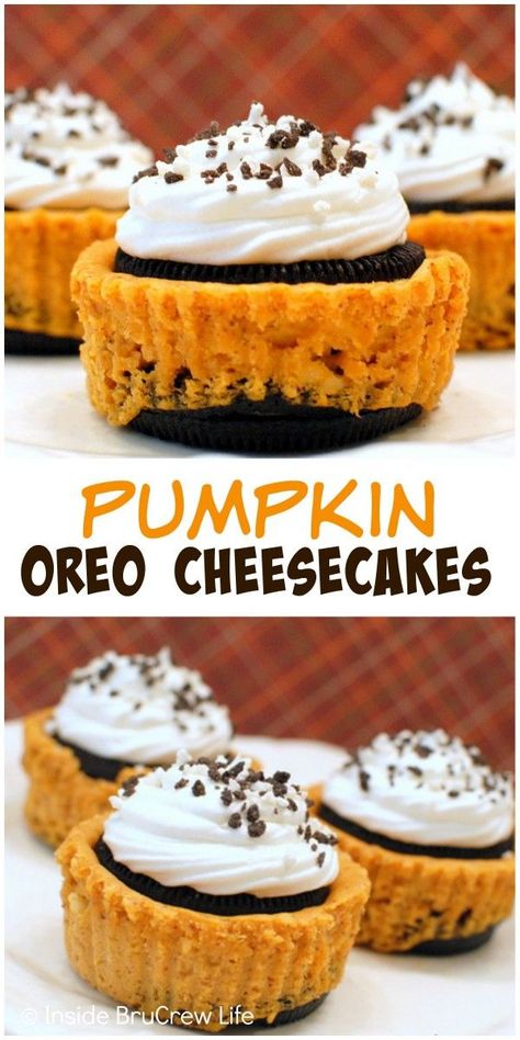 Mini pumpkin cheesecakes sandwiched between an Oreo cookie. These are the perfect fall dessert! Pumpkin Oreo Cheesecake, Pumpkin Cheesecakes, Mini Pumpkin Cheesecake, Dessert Oreo, Coconut Dessert, Brownie Desserts, Desserts Vegan, Oreo Cookie, Oreo Cheesecake