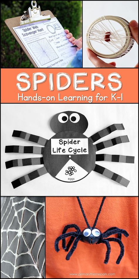 Spider Unit for Kindergarten and First Grade | Spider Unit 1st Grade | Spider Activities for Kids Spiders Kindergarten, Spider Unit Study, Halloween School Crafts, Spider Lessons, Halloween Spider Craft, Spider Unit, Paper Spider, Spider Activities, Spider Theme