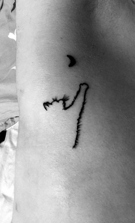 My new cat and moon tattoo, so cute Lost Cat Tattoo, Moon And Cat Tattoo, Tattoo For Cat That Passed, Cat And Moon Tattoo, Kitten Tattoo, Cat Tatto, Cat And Moon, Medusa Tattoo Design, Cat Nose