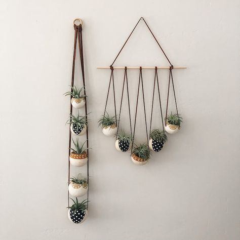 Macrame Decor Ideas, Air Plants Diy, Wall Hanging Decorations, Hanging Plant Wall, Plant Pot Decoration, Plants Wall, Diy Glass Bottle Crafts, Small Cactus, Coffee Bar Home