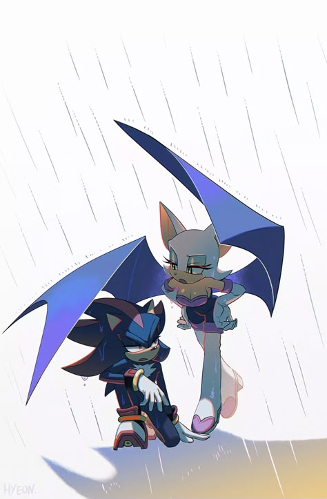 Shadow Rouge, Shadow And Rouge, Rouge The Bat, Sonic Heroes, Sonic Funny, Sonic Fan Characters, Sonic Franchise, Hedgehog Art, Sonic Adventure