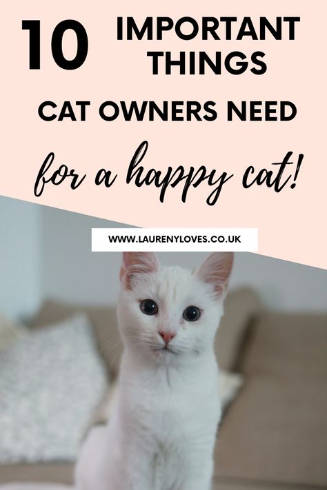 If you want to know how to keep your cat happy and healthy then you need to read this. Cats are not as easy to look after as people think but this will help you out with 10 essential things that will make your cat feel loved. Learn how to have a healthy cat and look forward to many long years with your feline friend. #petcaretips #catcaretips #pets Cat Owner Hacks, Cat Maintenance, Cat Behavior Facts, First Time Cat Owner, Cat Tips, Cat Happy, Cat Language, Cat Health Care, Cat Hacks