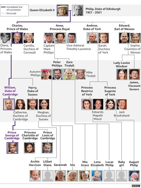 Princess Beatrice gives birth to a girl - BBC News Royal Family Tree, Ratu Elizabeth, British Royal Family Tree, Princesa Anne, Autumn Phillips, Princesa Charlotte, Royal Family Trees, Line Of Succession, Shortcut Keys