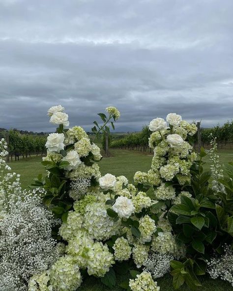 Hydrangea Installation, Green Hydrangea Bouquet, Green Hydrangea Wedding, Ceremony Installation, White Hydrangea Wedding, Engagement Flowers, Big White Flowers, Hydrangea Bouquet Wedding, Wedding Flowers Hydrangea