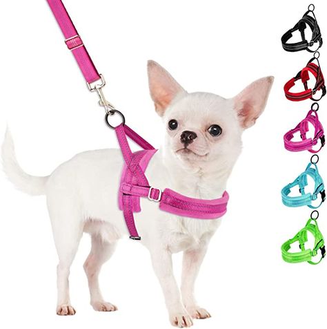 Amazon.com : SlowTon No Pull Small Dog Harness and Leash Set, Puppy Soft Vest Harness Neck & Chest Adjustable, Reflective Lightweight Harness & Anti-Twist Pet Lead Combo for Small Medium Dogs (Fuchsia, S) : Pet Supplies Dog Coughing, Harness And Leash Set, Soft Vest, Small Dog Harness, Puppy Harness, City Dog, Dog Vest Harness, Dog Vest, Large Animals