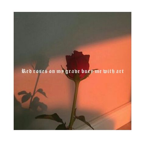 Lil skies -- Red Roses (feat. Landon Cube) Red Rose Asthetics, Red Roses Quotes, Landon Cube, Spam Quotes, Xxxtentacion Quotes, Rose Quotes, Lil Skies, Rapper Quotes, Tumblr Pics