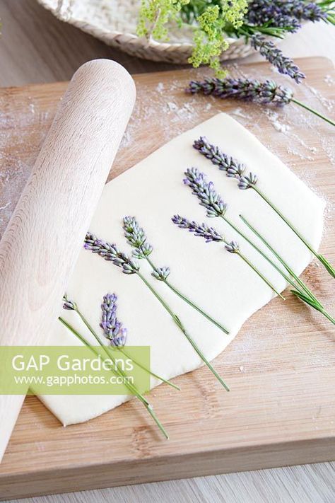 Cut lavender flowers being pressed into salt dough with rolling pin Salt Dough Flowers, Planting In Clay, Dough Press, Seed Art, Plant Photography, Salt Dough, Pin Image, Lavender Flowers, Crochet Dog