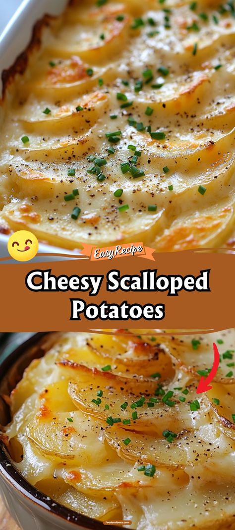 Enjoy the rich and creamy delight of Cheesy Scalloped Potatoes, a perfect side dish featuring thinly sliced potatoes layered with velvety cheese sauce and a hint of garlic. Bake until bubbly and golden for a side that complements any main dish, from roasts to grilled meats. #ScallopedPotatoes #CheesySides #ComfortFood Scalloped Potatoes With Meat, Sliced Potatoes With Cheese, Sliced Cheesy Potatoes, Scalloped Potatoes Sauce, Scalloped Potatoes With Sausage, Scalloped Potatoes Oven, Cheesy Sliced Potatoes, Cheesy Garlic Scalloped Potatoes, Scallop Potato Recipes